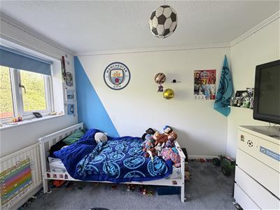 Picture 7